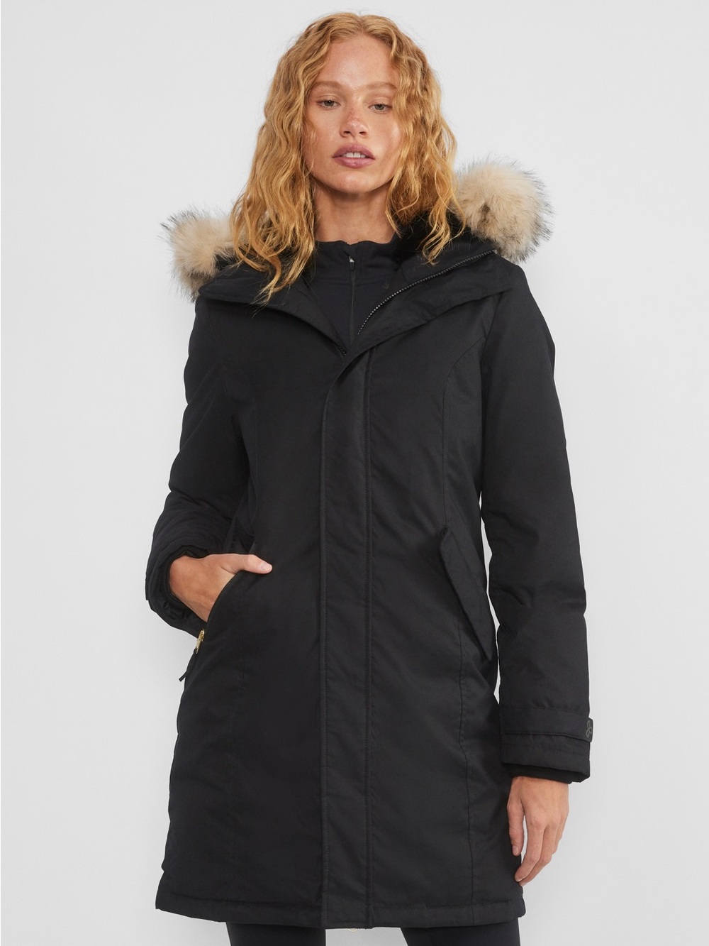 Aritzia Tna Summit Parka